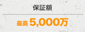 保証額 最高　5,000万